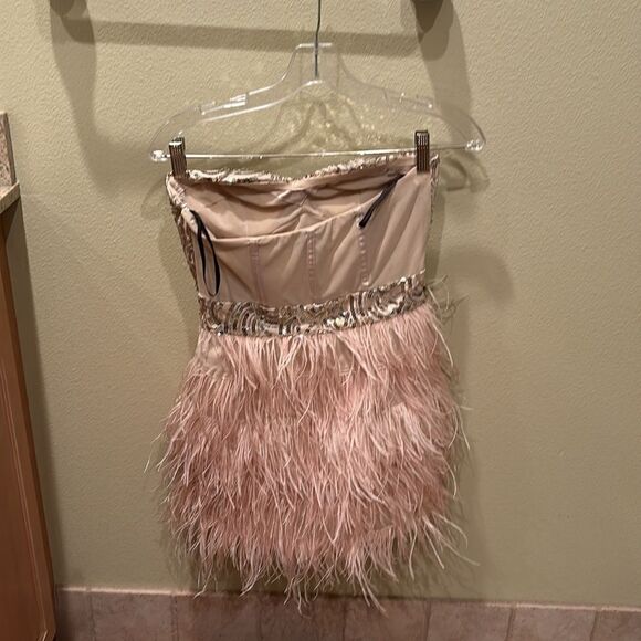 Bebe strapless fringe and sequin dress. Top is gold and the fringe is light pink - Picture 7 of 11